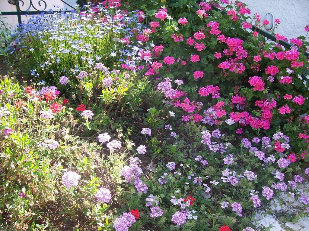 B&B Arcobaleno Cefalù Zewnętrze zdjęcie